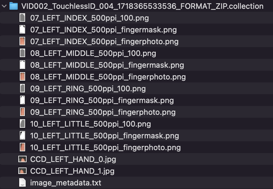 collection_zip.png